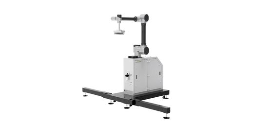 WP-20 Sistema de inspección de visión de cámara de paletización con brazo robótico chino