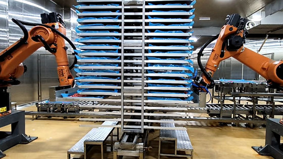 Robots de paletas Tecnología alimentaria KUKA KR60-3 Célula de robot industrial