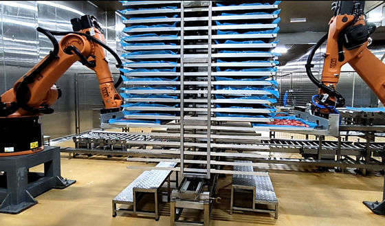 Estación de trabajo de paletización de robots industriales ofrece una solución única